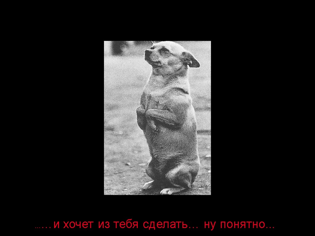 ……и хочет из тебя сделать… ну понятно...